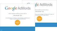 Google AdWords Professional